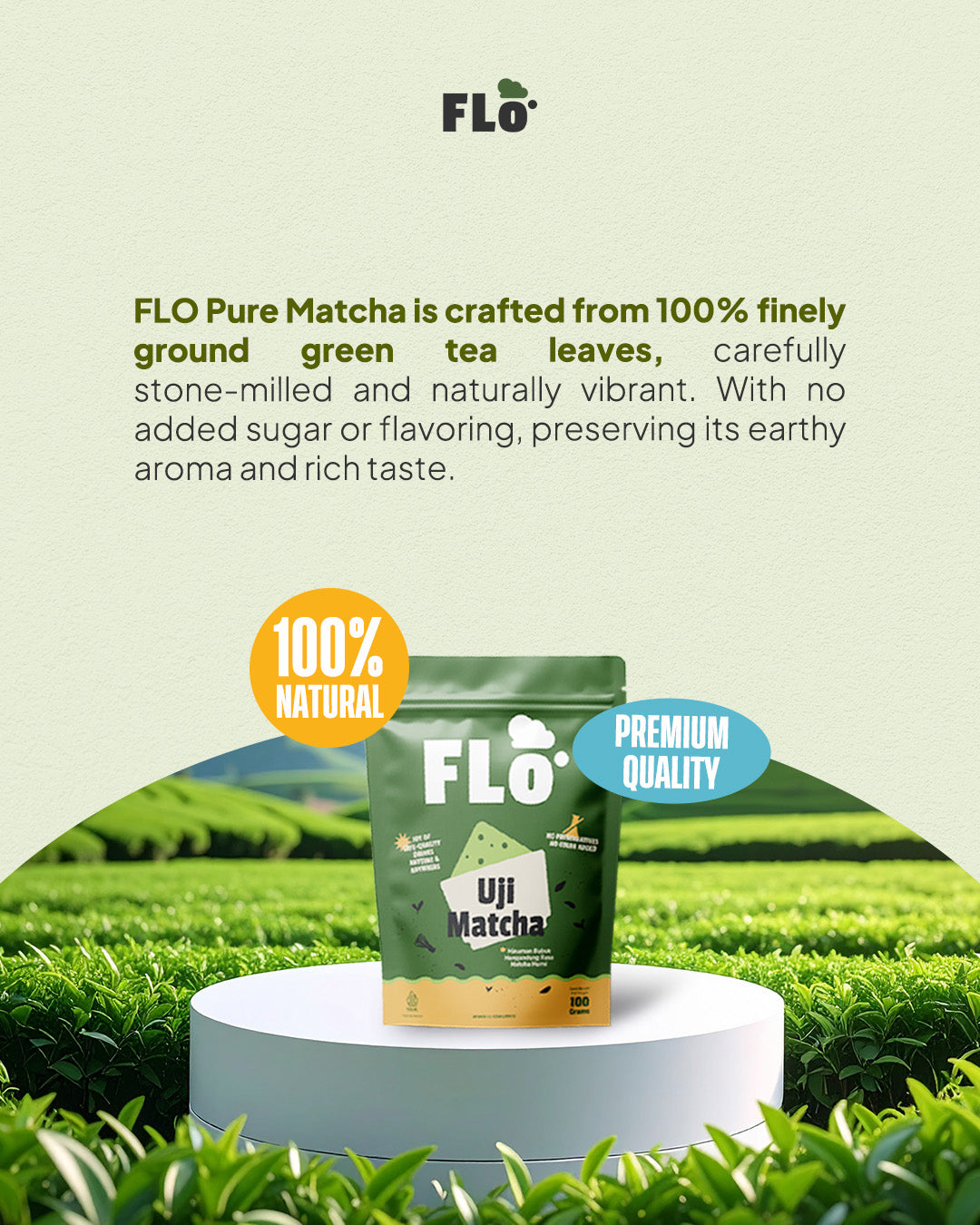 The Aesthetic Side of Matcha: Why We Love Its Vivid Green
